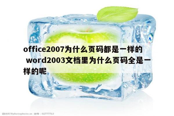 office2007为什么页码都是一样的 word2003文档里为什么页码全是一样的呢