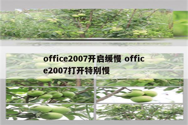 office2007开启缓慢 office2007打开特别慢