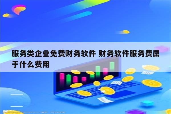 服务类企业免费财务软件 财务软件服务费属于什么费用