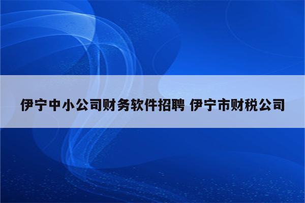 伊宁中小公司财务软件招聘 伊宁市财税公司