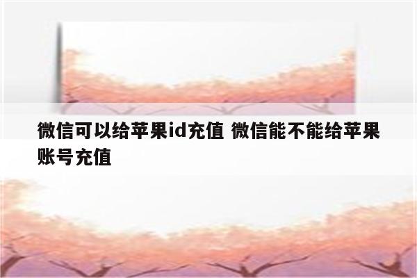微信可以给苹果id充值 微信能不能给苹果账号充值