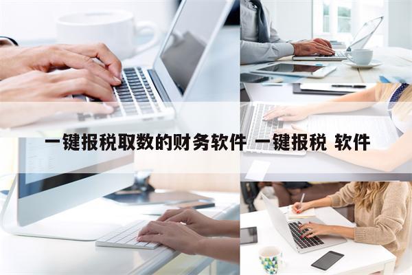 一键报税取数的财务软件 一键报税 软件