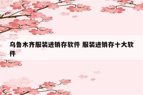 乌鲁木齐服装进销存软件 服装进销存十大软件