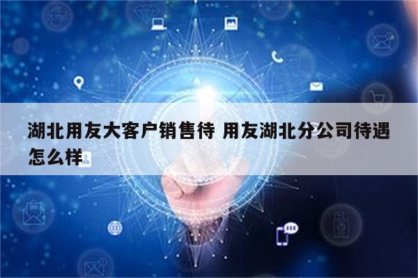 湖北用友大客户销售待 用友湖北分公司待遇怎么样