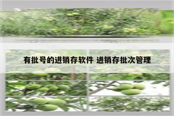 有批号的进销存软件 进销存批次管理