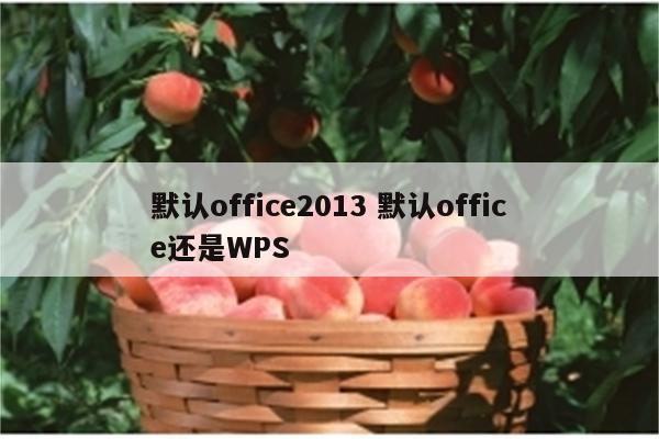 默认office2013 默认office还是WPS