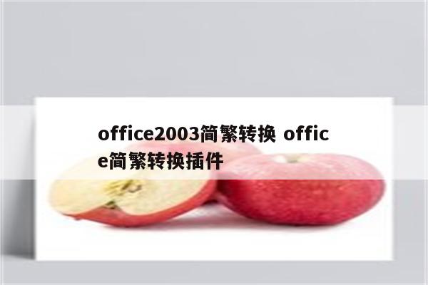 office2003简繁转换 office简繁转换插件