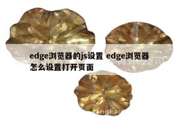 edge浏览器的js设置 edge浏览器怎么设置打开页面