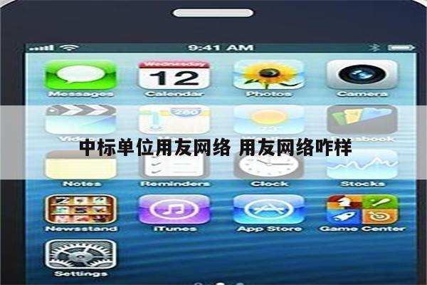 中标单位用友网络 用友网络咋样