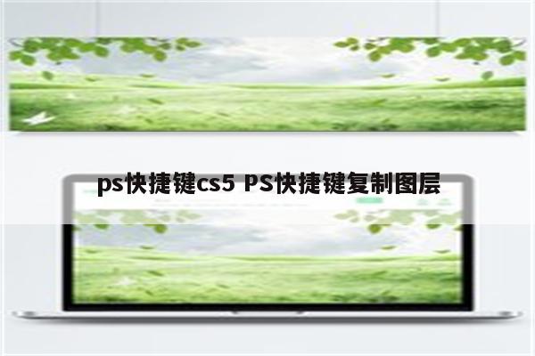 ps快捷键cs5 PS快捷键复制图层
