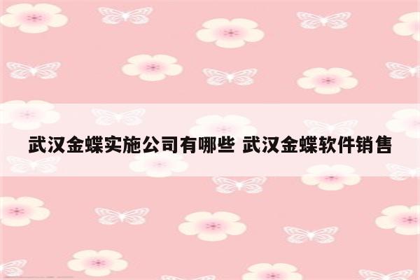 武汉金蝶实施公司有哪些 武汉金蝶软件销售