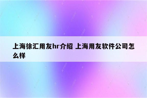 上海徐汇用友hr介绍 上海用友软件公司怎么样