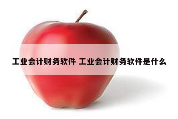 工业会计财务软件 工业会计财务软件是什么
