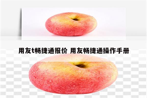 用友t畅捷通报价 用友畅捷通操作手册