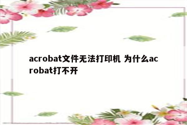acrobat文件无法打印机 为什么acrobat打不开