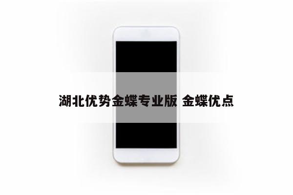 湖北优势金蝶专业版 金蝶优点