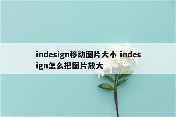 indesign移动图片大小 indesign怎么把图片放大