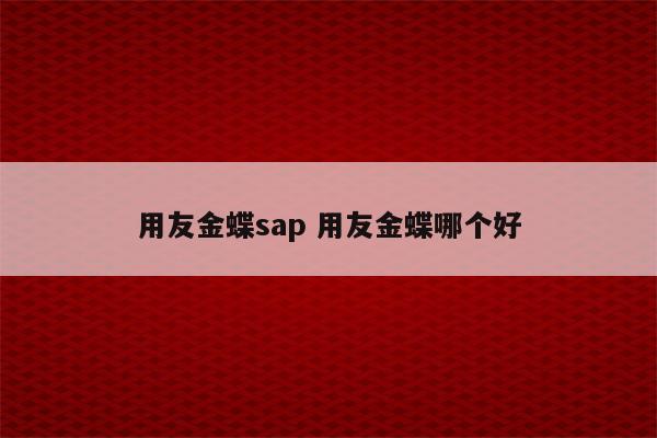 用友金蝶sap 用友金蝶哪个好