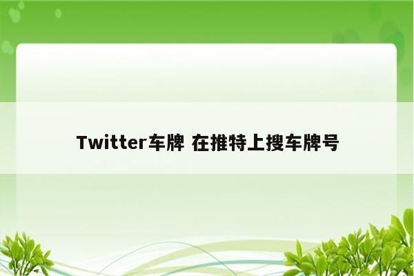 Twitter车牌 在推特上搜车牌号