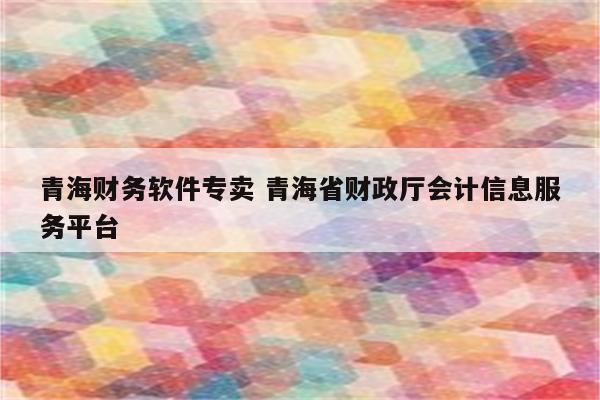 青海财务软件专卖 青海省财政厅会计信息服务平台