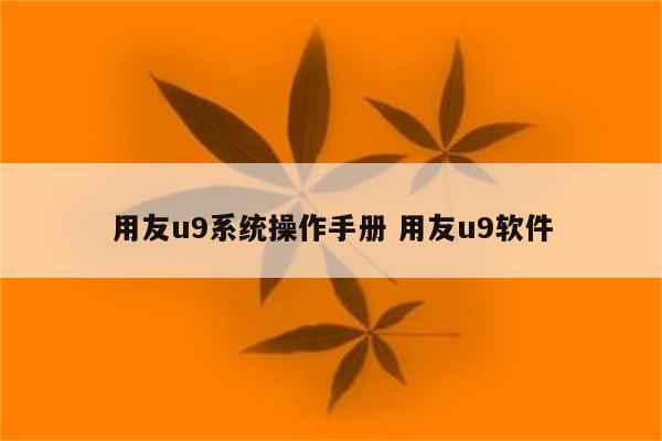 用友u9系统操作手册 用友u9软件