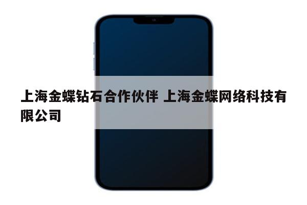 上海金蝶钻石合作伙伴 上海金蝶网络科技有限公司