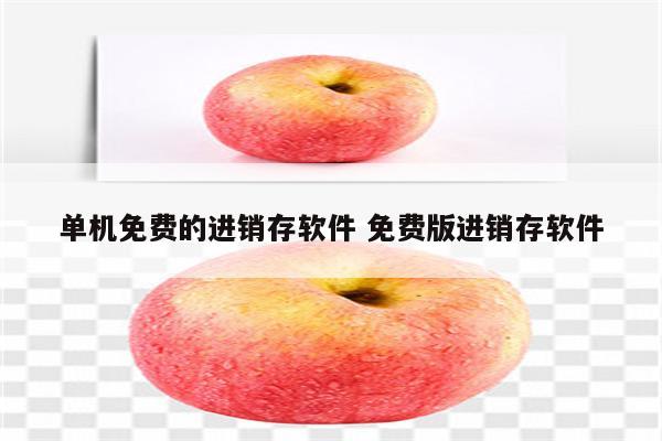 单机免费的进销存软件 免费版进销存软件