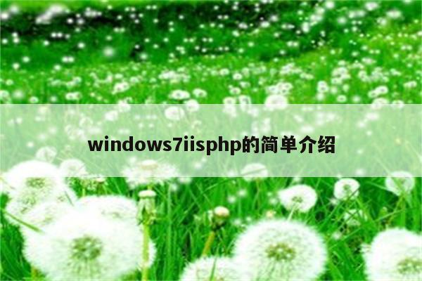 windows7iisphp的简单介绍