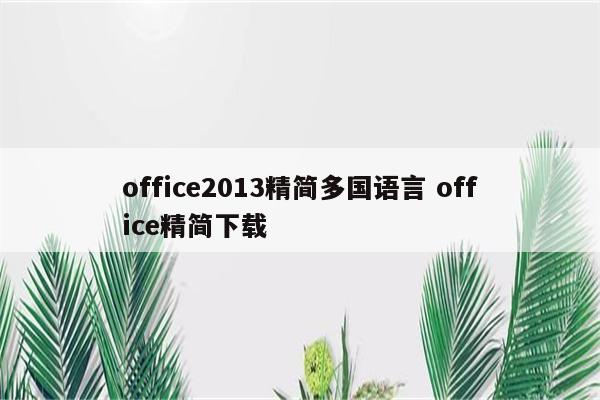 office2013精简多国语言 office精简下载