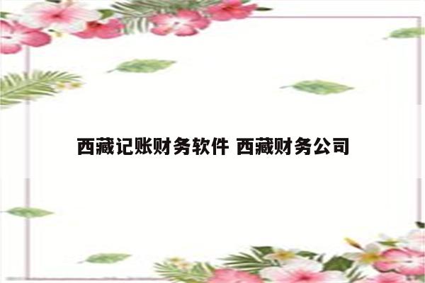 西藏记账财务软件 西藏财务公司
