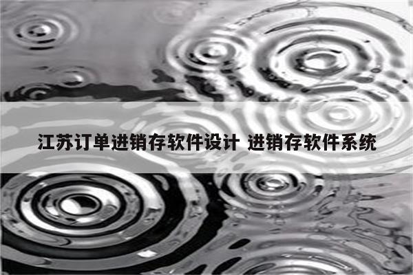 江苏订单进销存软件设计 进销存软件系统
