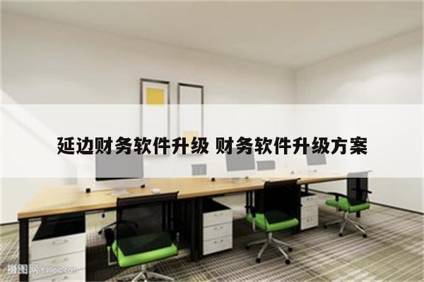 延边财务软件升级 财务软件升级方案