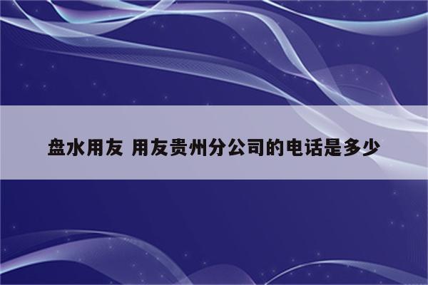 盘水用友 用友贵州分公司的电话是多少