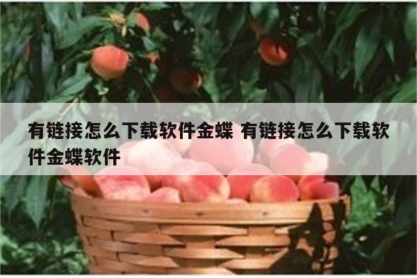 有链接怎么下载软件金蝶 有链接怎么下载软件金蝶软件