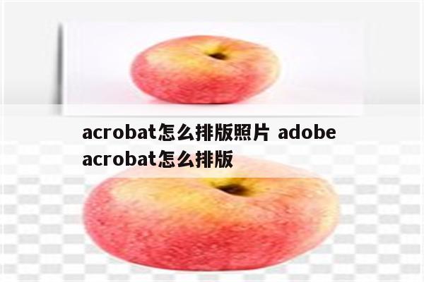 acrobat怎么排版照片 adobe acrobat怎么排版