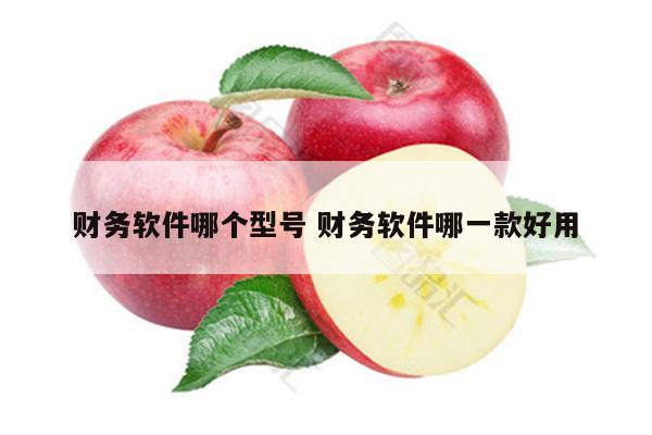 财务软件哪个型号 财务软件哪一款好用
