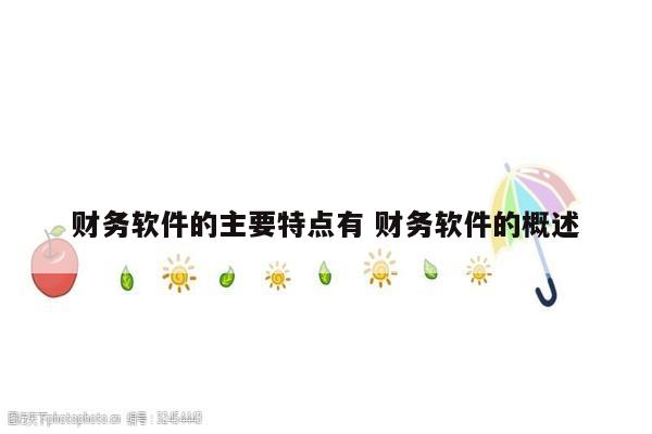 财务软件的主要特点有 财务软件的概述