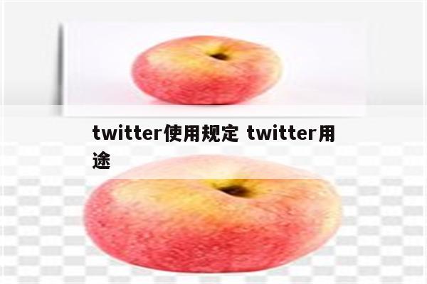 twitter使用规定 twitter用途