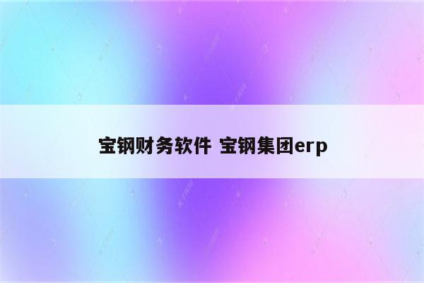 宝钢财务软件 宝钢集团erp