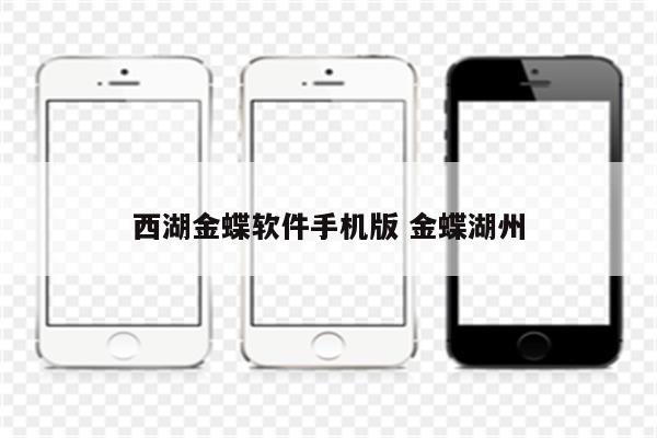 西湖金蝶软件手机版 金蝶湖州