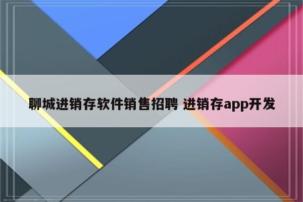 聊城进销存软件销售招聘 进销存app开发