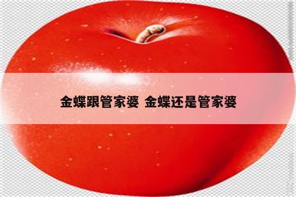 金蝶跟管家婆 金蝶还是管家婆