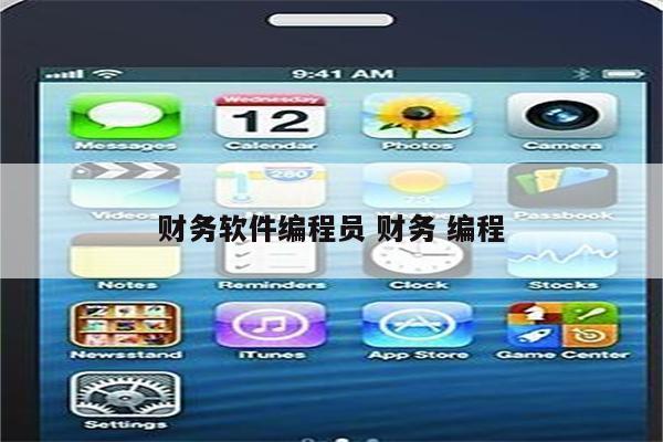 财务软件编程员 财务 编程