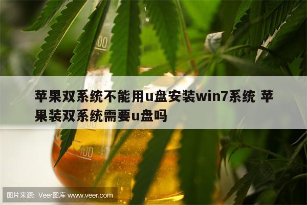 苹果双系统不能用u盘安装win7系统 苹果装双系统需要u盘吗