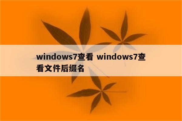 windows7查看 windows7查看文件后缀名