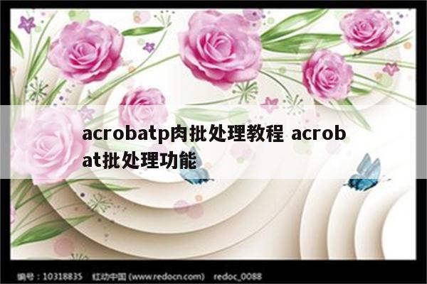 acrobatp肉批处理教程 acrobat批处理功能