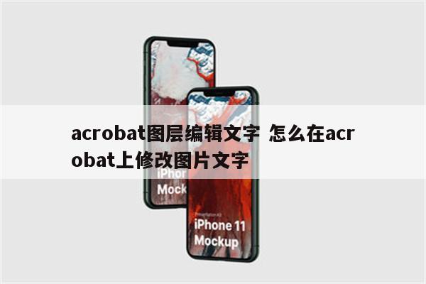 acrobat图层编辑文字 怎么在acrobat上修改图片文字