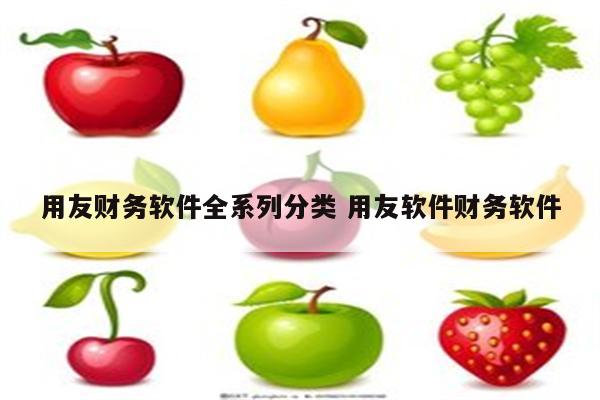 用友财务软件全系列分类 用友软件财务软件