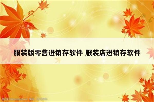 服装版零售进销存软件 服装店进销存软件