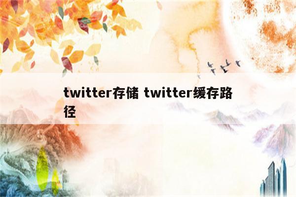 twitter存储 twitter缓存路径